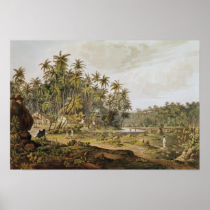 View near Point du Galle, Ceylon Poster