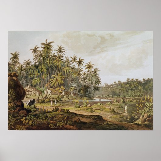 View near Point du Galle, Ceylon Poster (Vorne)