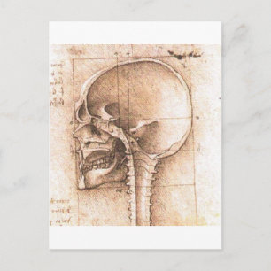 View of a Skull by Leonardo da Vinci c. 1489 Postkarte