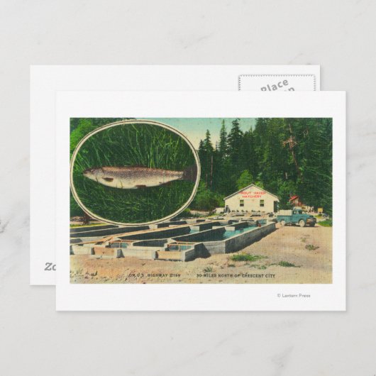 View of Foreut Haven HatcheryGasquet, CA Postkarte (Vorne/Hinten)