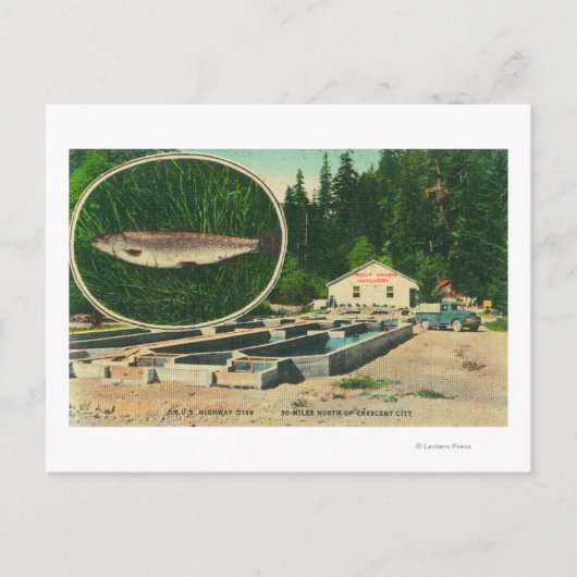 View of Foreut Haven HatcheryGasquet, CA Postkarte (Vorderseite)