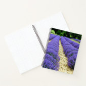 View of lavender fields in the Drôme provencale Notizblock (Innenseite)