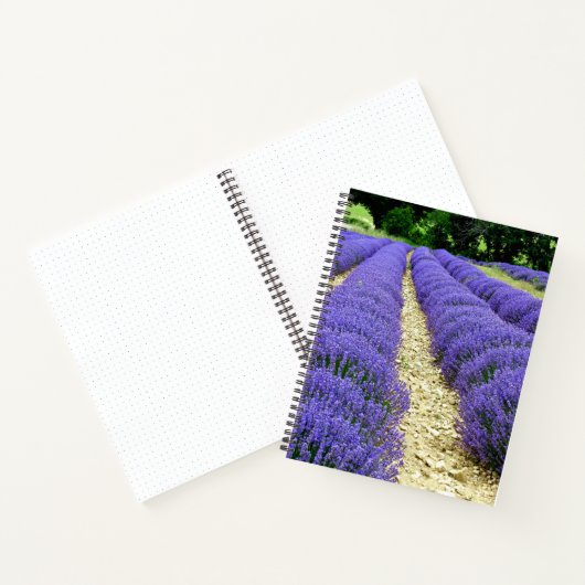 View of lavender fields in the Drôme provencale Notizblock (Innenseite)