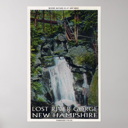 View of Paradise Falls Poster (Vorne)