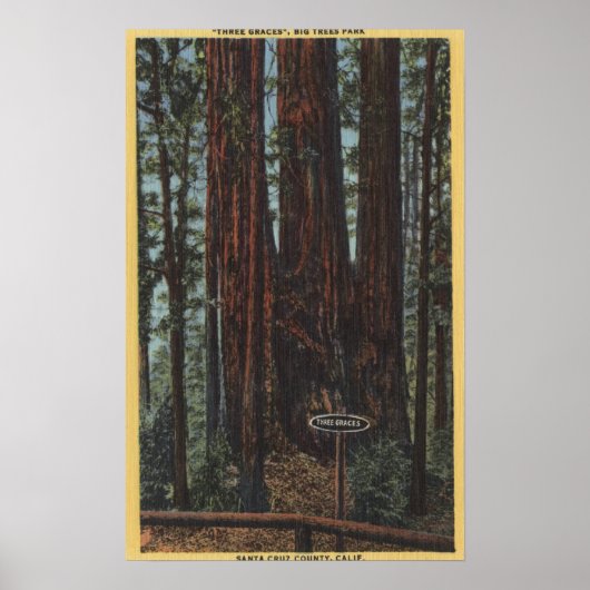 View of "Three Graces" at Big Trees Park Poster (Vorne)