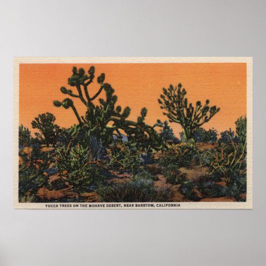 View of Yucca Trees in the Mohave Desert Poster (Vorne)