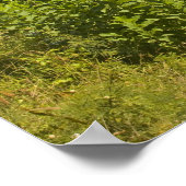 Viewpoint near Grand Riviere Noire, South Poster (Ecke)