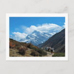 Views from Nepal on to MOUNT EVEREST Postkarte<br><div class="desc">Ausrichtung: Postcard (Begriffsklärung) Whether you re sending a charming hello, a heartfelt thanks or a special announcement, Zazzle's custom postcards are the perfect way to keep in touch. Add your favorite picture or pick a customizable design and make someone's day with a einfach "hi"! Abmessungen: 4.25" x 5.6" (Porträt) or...</div>