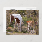 Vigilant Mother Postkarte (Vorne/Hinten)