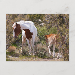 Vigilant Mother Postkarte