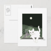Vigne, Clair de Lune und Chat Blanc Postkarte (Vorne/Hinten)