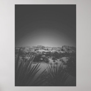 Vignette Black and White Joshua Tree Desert Scene Poster