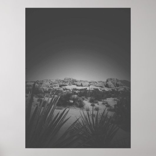 Vignette Black und White Joshua Tree Wüstenlandsch Poster (Vorne)