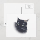 Vignette von Tortoise Muschel Katzengesicht Postka Postkarte (Vorne/Hinten)