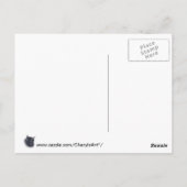 Vignette von Tortoise Muschel Katzengesicht Postka Postkarte (Rückseite)