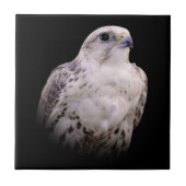 Vignetted Portrait eines inquisitiven Saker Falken Fliese (Vorderseite)