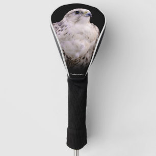 Vignetted Portrait eines inquisitiven Saker Falken Golf Headcover