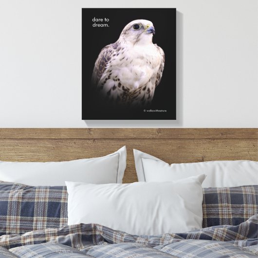 Vignetted Portrait eines inquisitiven Saker Falken Leinwanddruck (Insitu (Schlafzimmer))