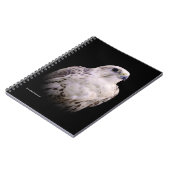 Vignetted Portrait eines inquisitiven Saker Falken Notizblock (Linke Seite)