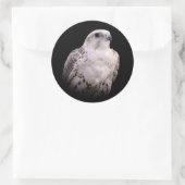 Vignetted Portrait eines inquisitiven Saker Falken Runder Aufkleber (Tasche)