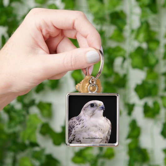 Vignetted Portrait eines inquisitiven Saker Falken Schlüsselanhänger (Hand)