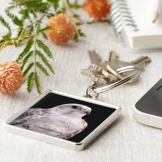 Vignetted Portrait eines inquisitiven Saker Falken Schlüsselanhänger (Seite)