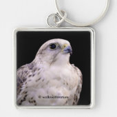 Vignetted Portrait eines inquisitiven Saker Falken Schlüsselanhänger (Vorne)