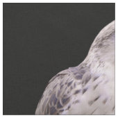 Vignetted Portrait eines inquisitiven Saker Falken Stoff (Nahaufnahme)