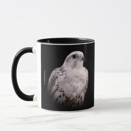 Vignetted Portrait eines inquisitiven Saker Falken Tasse (Links)