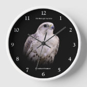 Vignetted Portrait eines inquisitiven Saker Falken Uhr (Vorderseite)