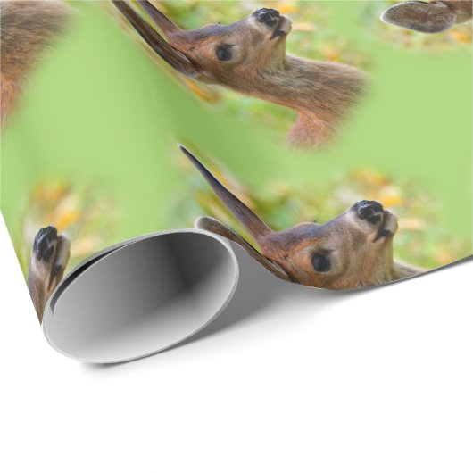 Vignetted Portrait von Lächelndem Schwarzschwanz-H Geschenkpapier (Rolleneckpunkt)