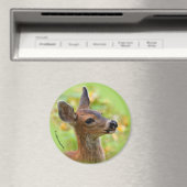 Vignetted Portrait von Lächelndem Schwarzschwanz-H Magnet (In Situ (Geschirrspüler))