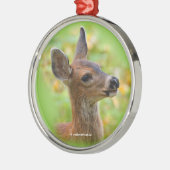 Vignetted Portrait von Lächelndem Schwarzschwanz-H Silbernes Ornament (Links)