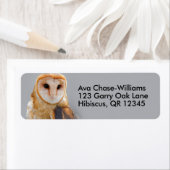 Vignetted Serene Barn Owl (Insitu)