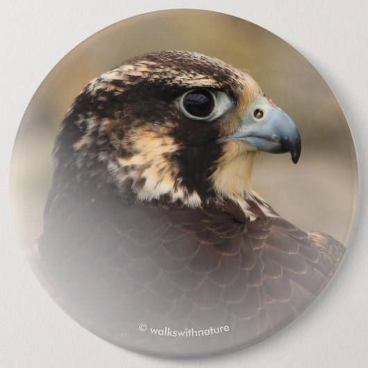 Vignettiertes Profil eines Peregrine Falken Button (Vorderseite)