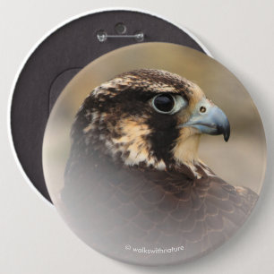 Vignettiertes Profil eines Peregrine Falken Button