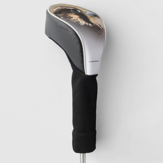 Vignettiertes Profil eines Peregrine Falken Golf Headcover (angewinkelt)