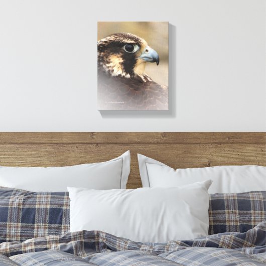 Vignettiertes Profil eines Peregrine Falken Leinwanddruck (Insitu (Schlafzimmer))