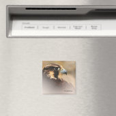 Vignettiertes Profil eines Peregrine Falken Magnet (In Situ (Geschirrspüler))