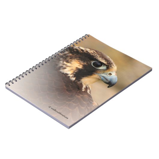 Vignettiertes Profil eines Peregrine Falken Notizblock (Linke Seite)