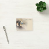 Vignettiertes Profil eines Peregrine Falken Post-it Klebezettel (Büro)