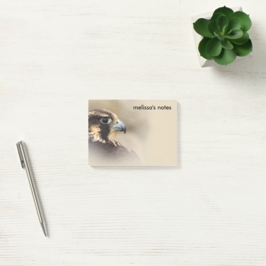 Vignettiertes Profil eines Peregrine Falken Post-it Klebezettel (Büro)