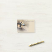 Vignettiertes Profil eines Peregrine Falken Post-it Klebezettel (Auf Schreibtisch)