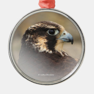 Vignettiertes Profil eines Peregrine Falken Silbernes Ornament