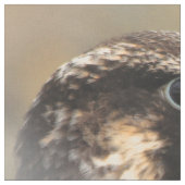Vignettiertes Profil eines Peregrine Falken Stoff (Nahaufnahme)