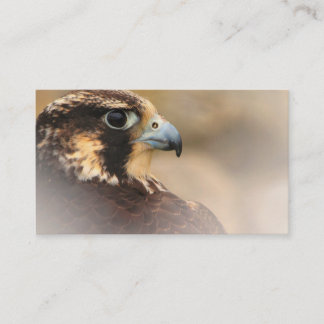 Vignettiertes Profil eines Peregrine Falken Visitenkarte