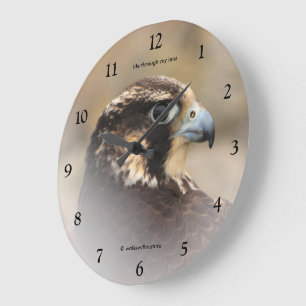 Vignettiertes Profil eines Wanderfalken Große Wanduhr