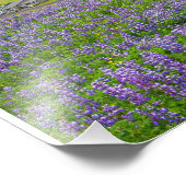 VIK, ISLAND-FOTO FOTODRUCK (Ecke)