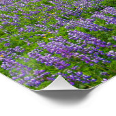 VIK, ISLAND POSTER (Ecke)