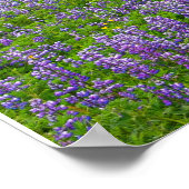 VIK, ISLAND POSTER (Ecke)